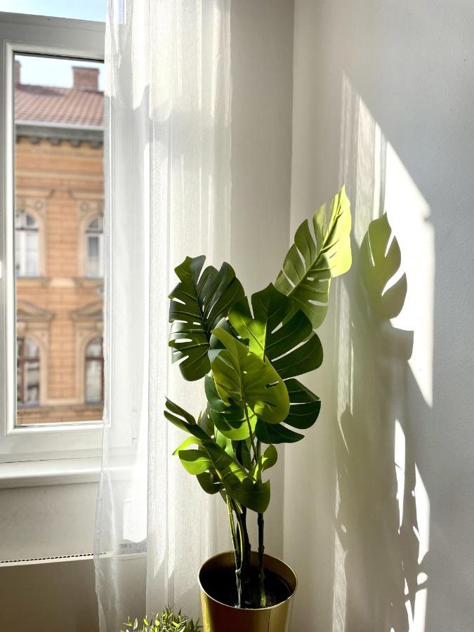 בודפשט Eotvos 25 Apartment מראה חיצוני תמונה